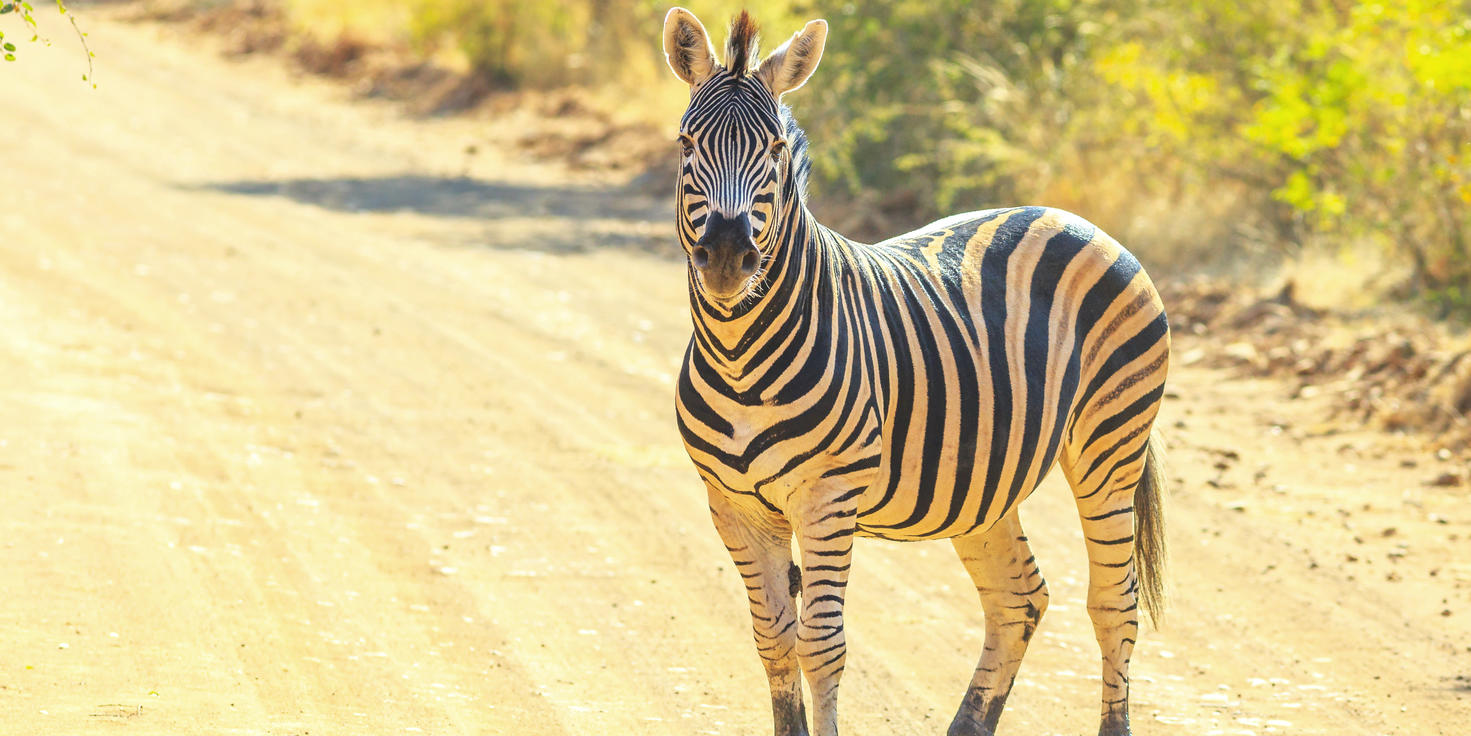 The Waterberg Biosphere