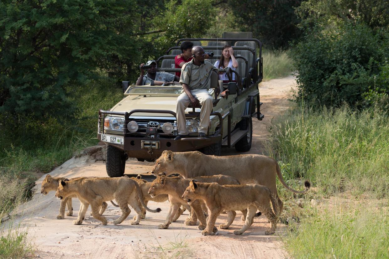 Open Safari