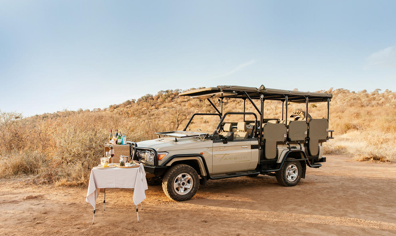 Game Drive