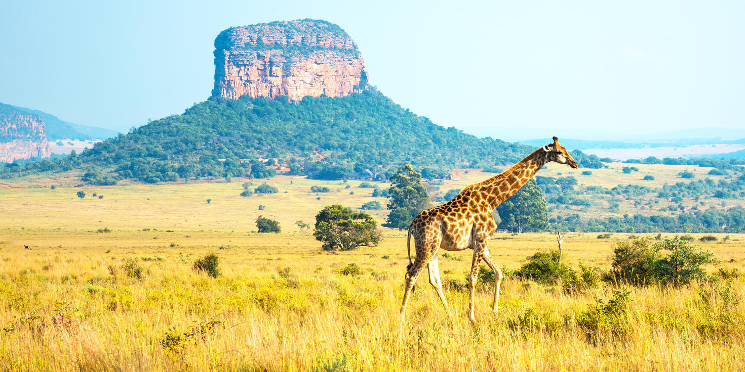 Limpopo