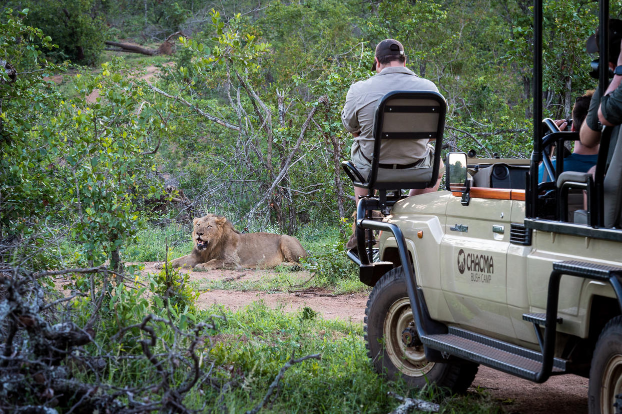 Big 5 Game Drives