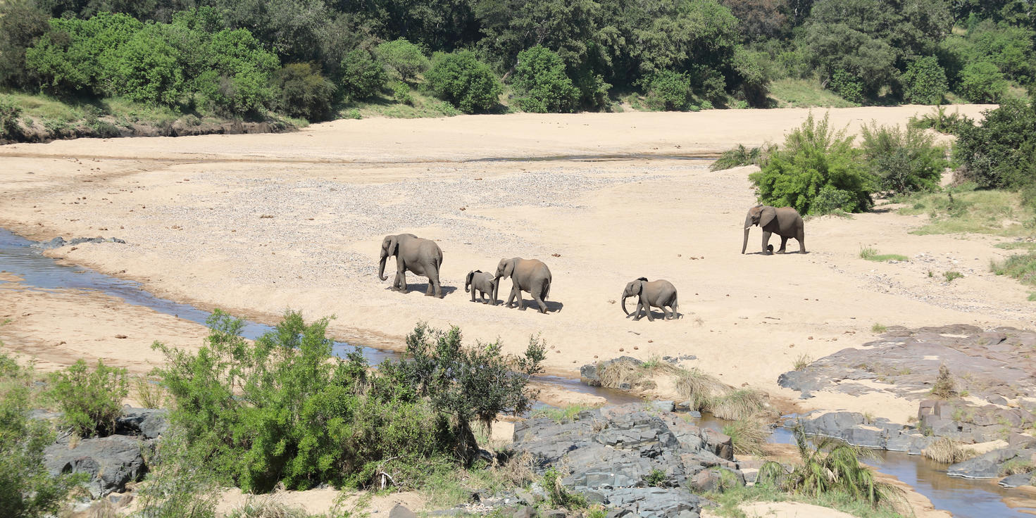 Timbavati Private Nature Reserve