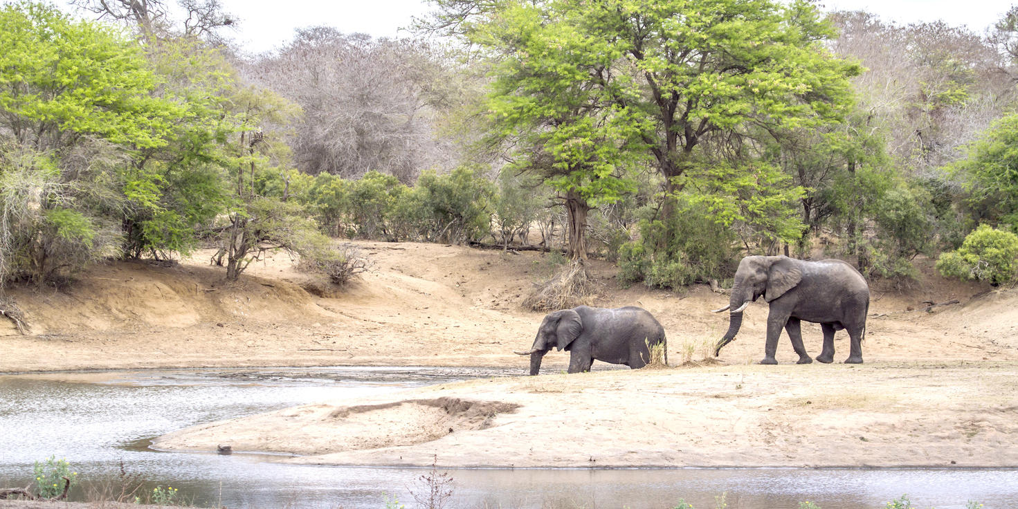 Balule Private Game Reserve