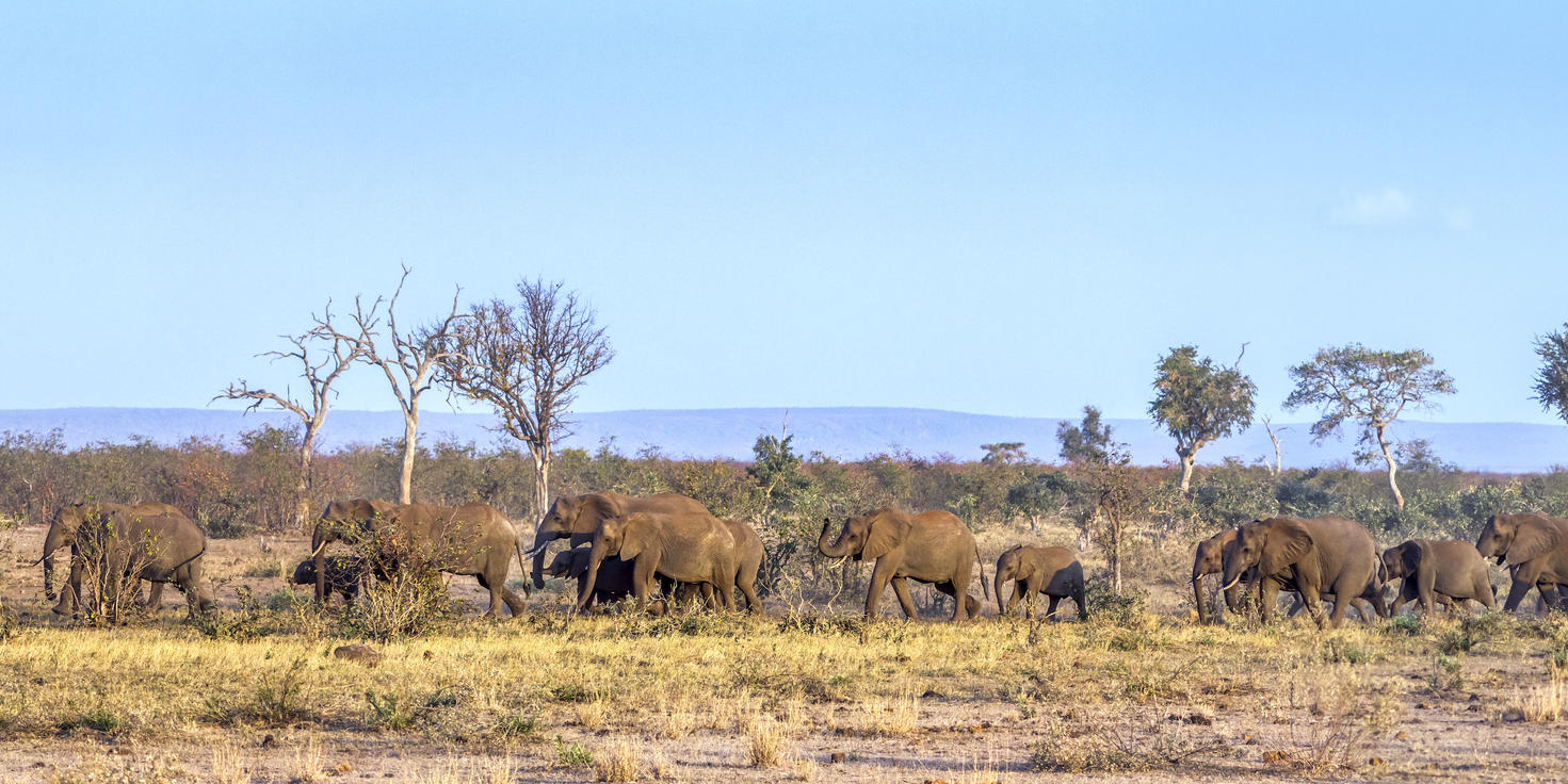 Blue Canyon Private Game Reserve