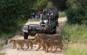 4 Day Naledi Bush Lodge, Balule Game Reserve