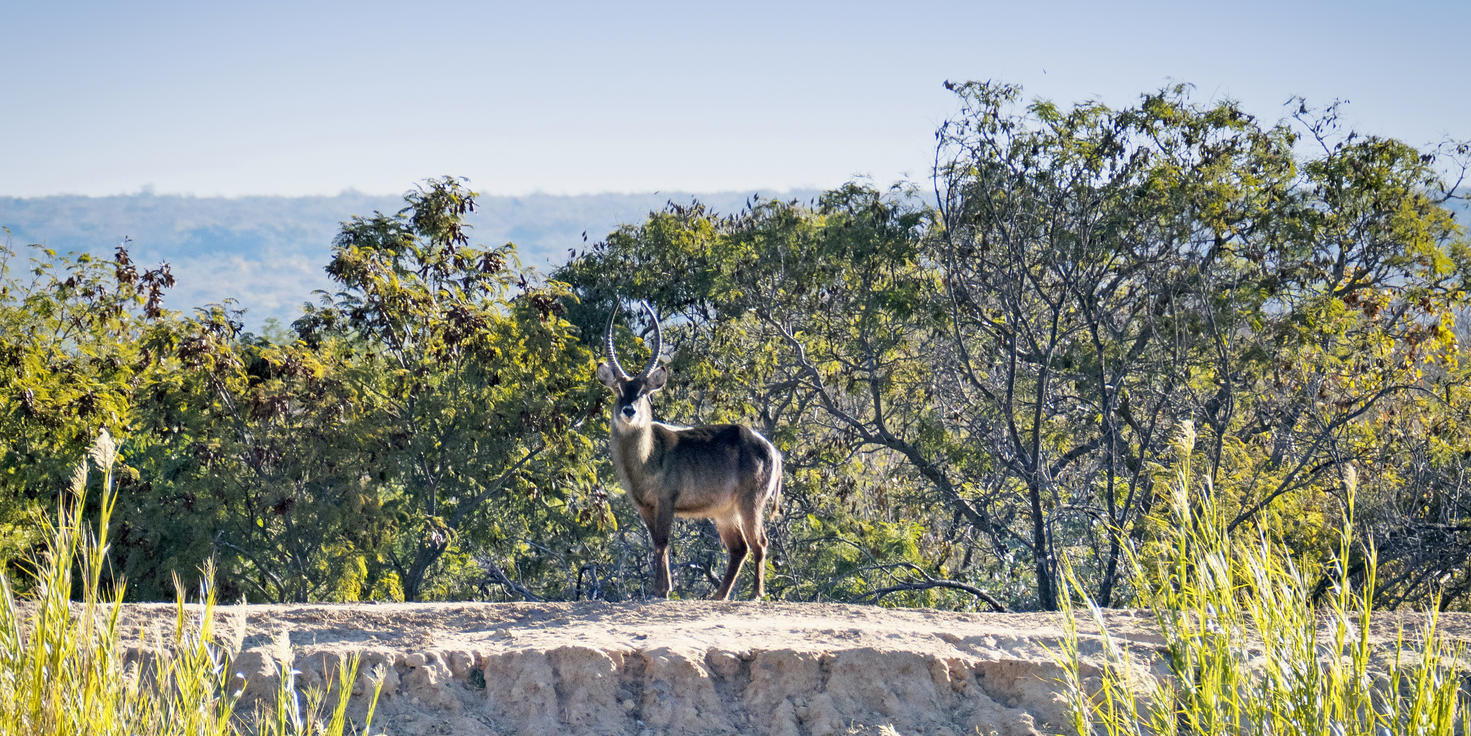 The Waterberg Biosphere