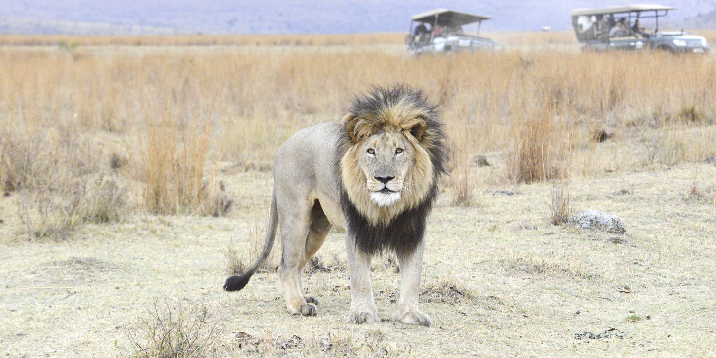 Welgevonden Game Reserve