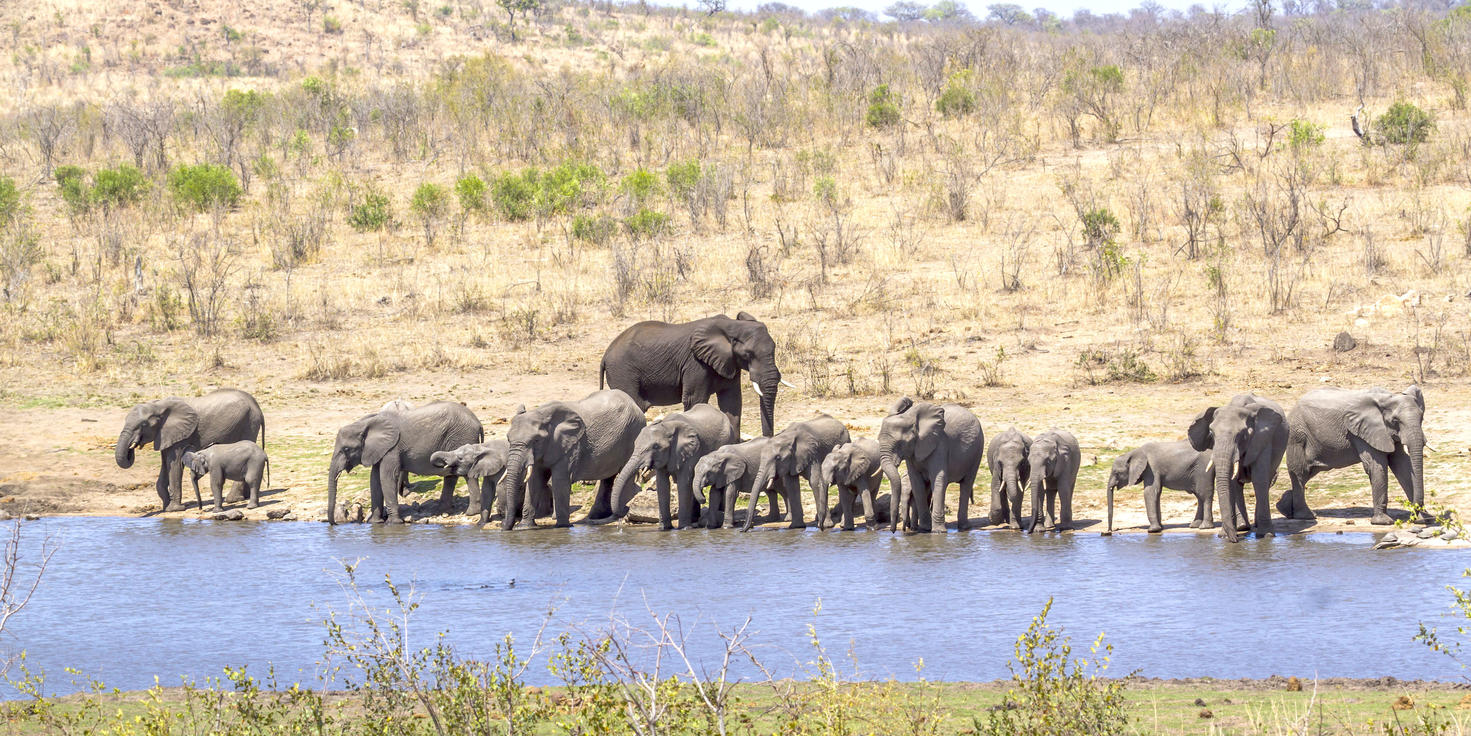 Moditlo Private Game Reserve