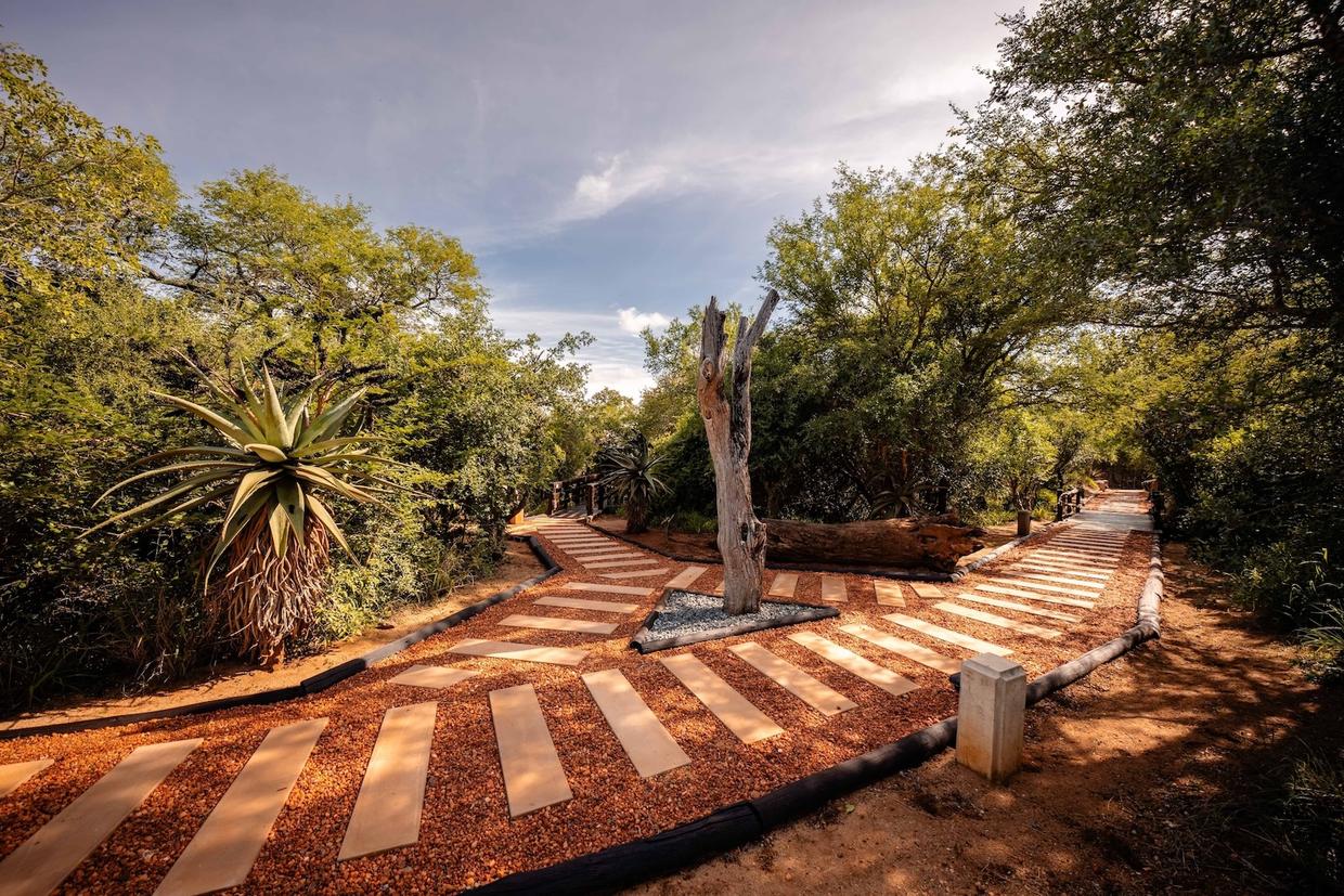 4 Day, 3 Nights Kapama Bufallo Camp