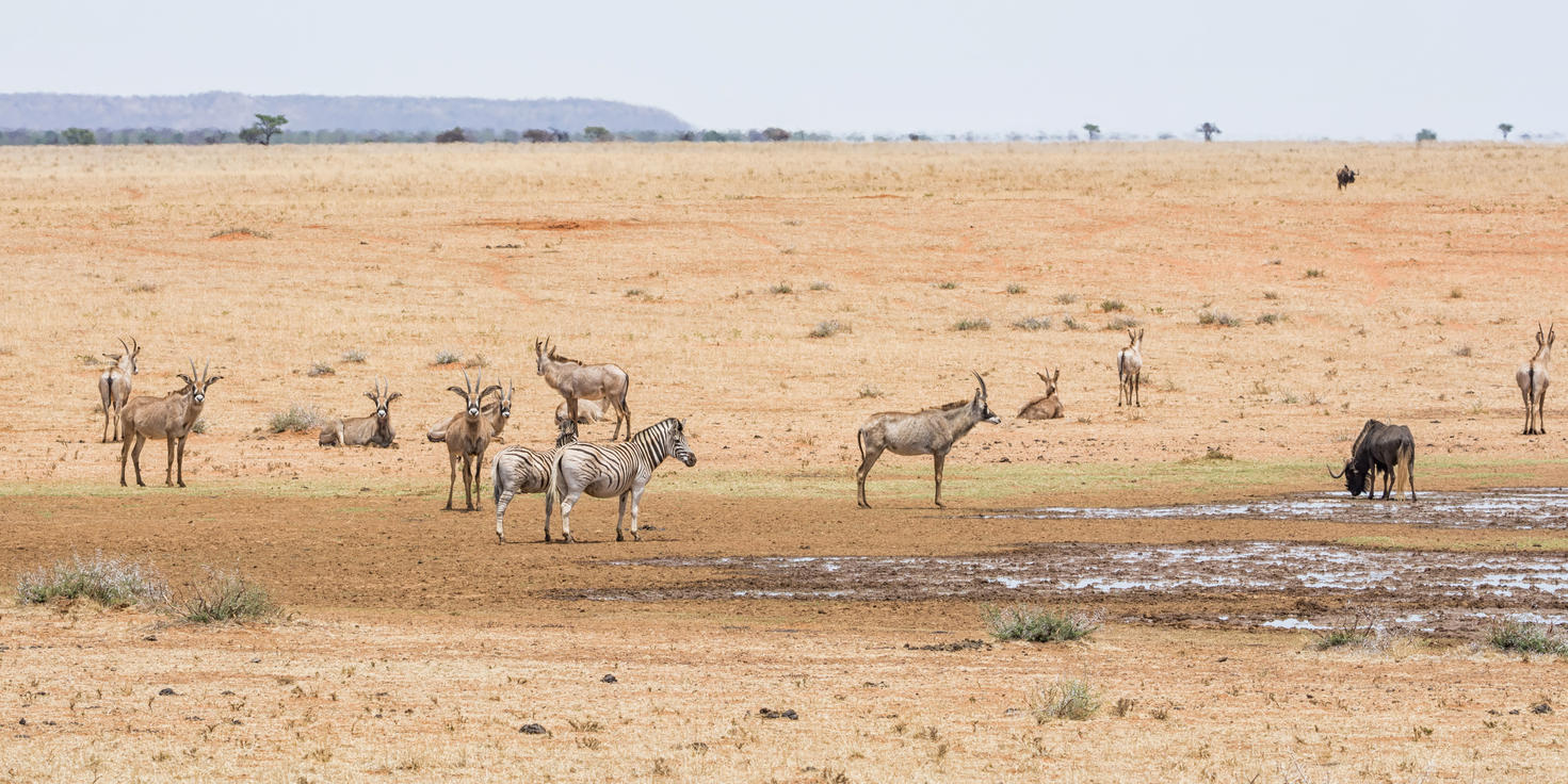 Blue Canyon Private Game Reserve