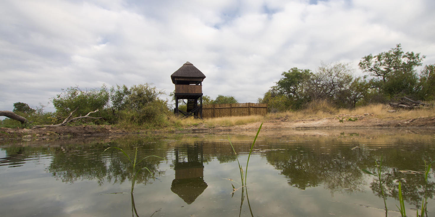 Hide overlooking water hole