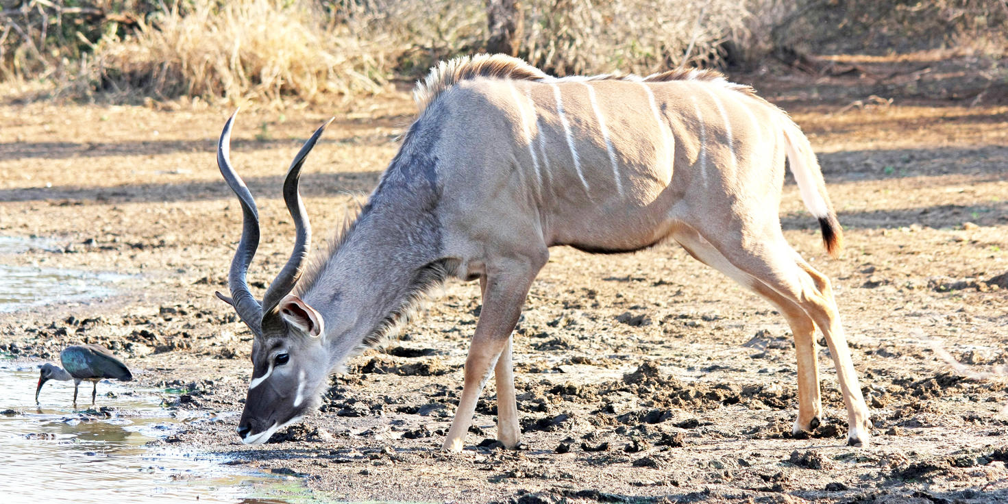 Mluwati Concession