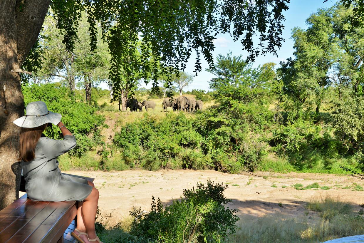 Imbali Safari Lodge - View