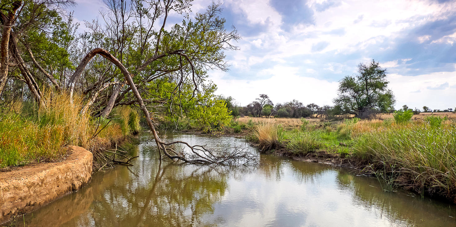 Dinokeng Game Reserve