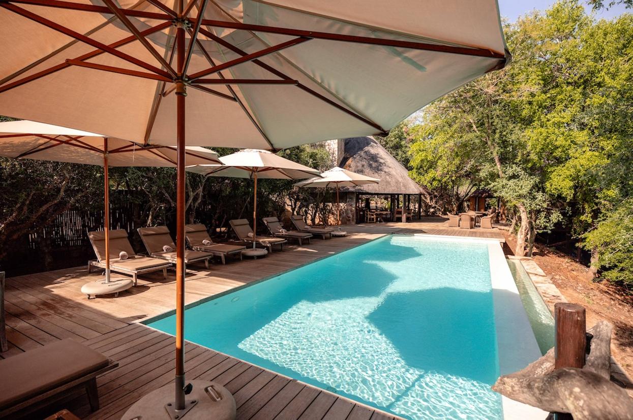 Kapama Buffalo Camp pool