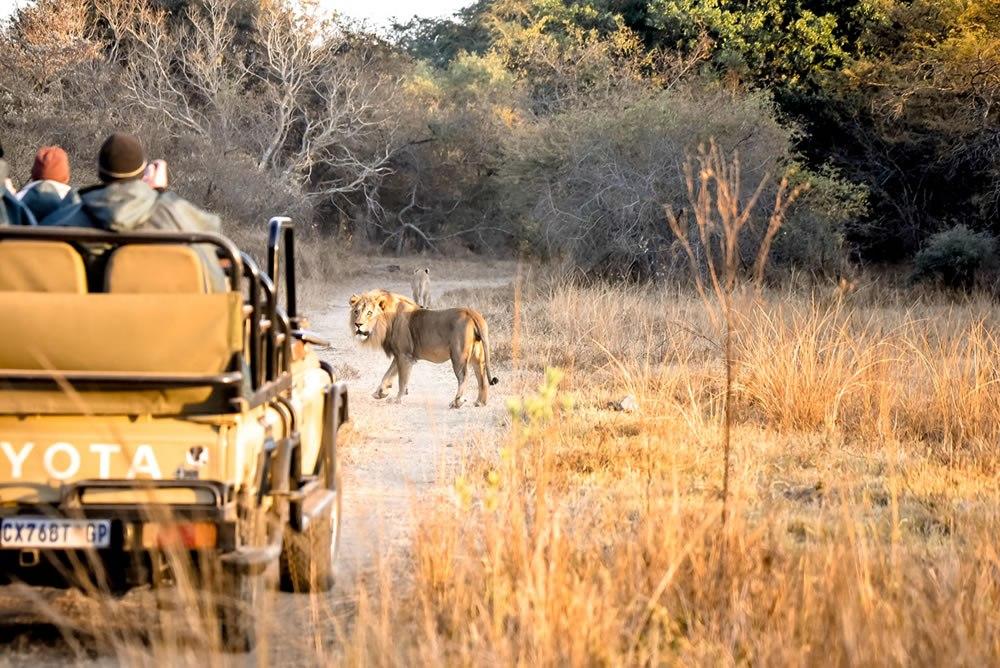 4 Day Moditlo River Lodge