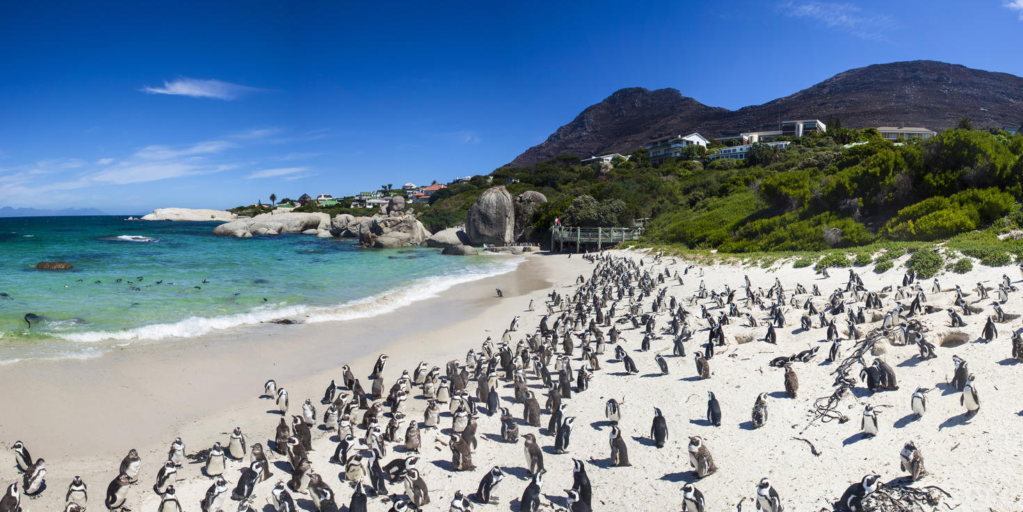 Cape Town