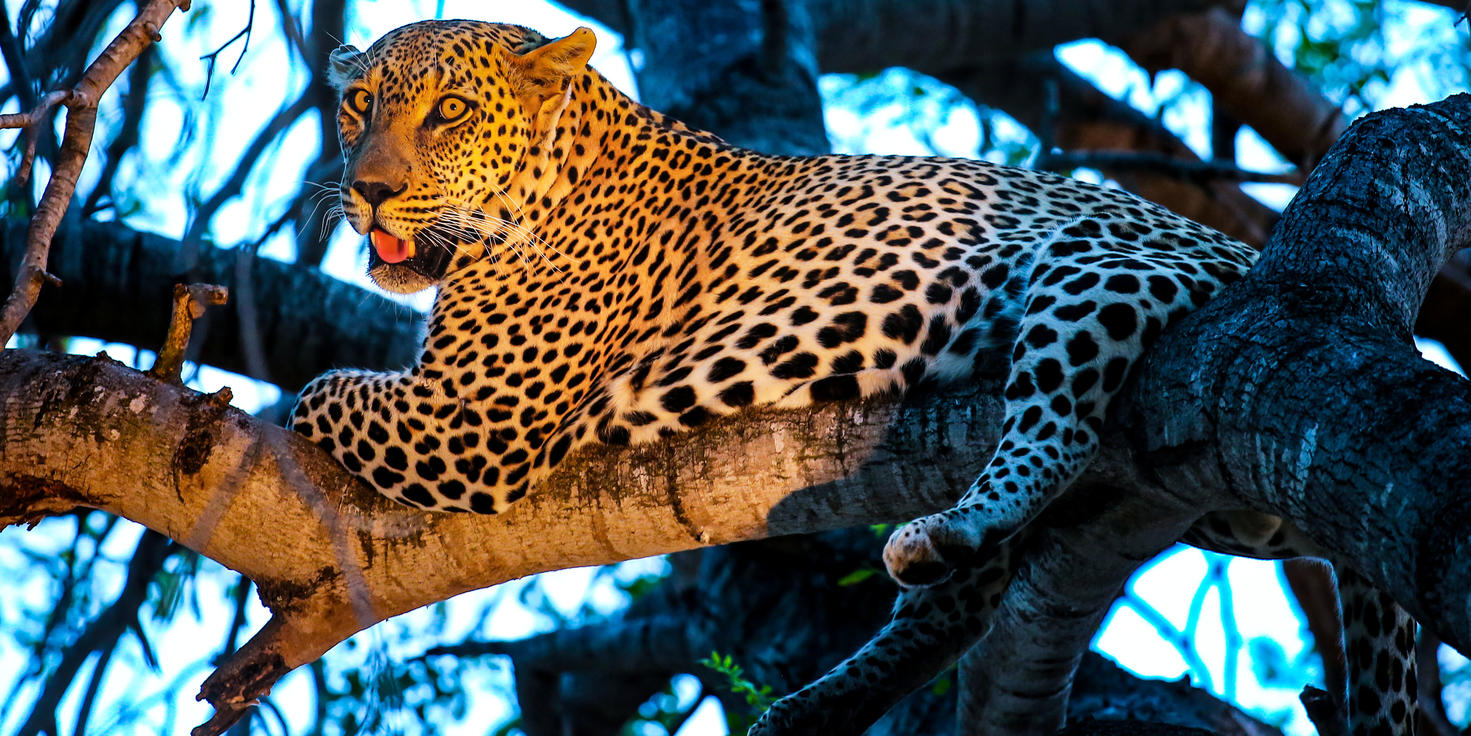 Blue Canyon Private Game Reserve
