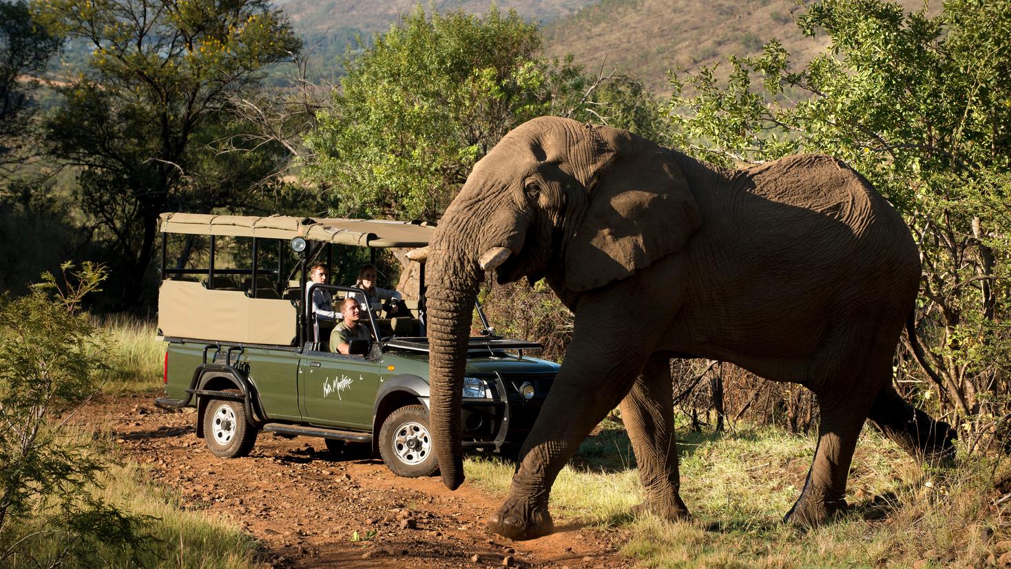 Kwa Maritane Game Vehicle