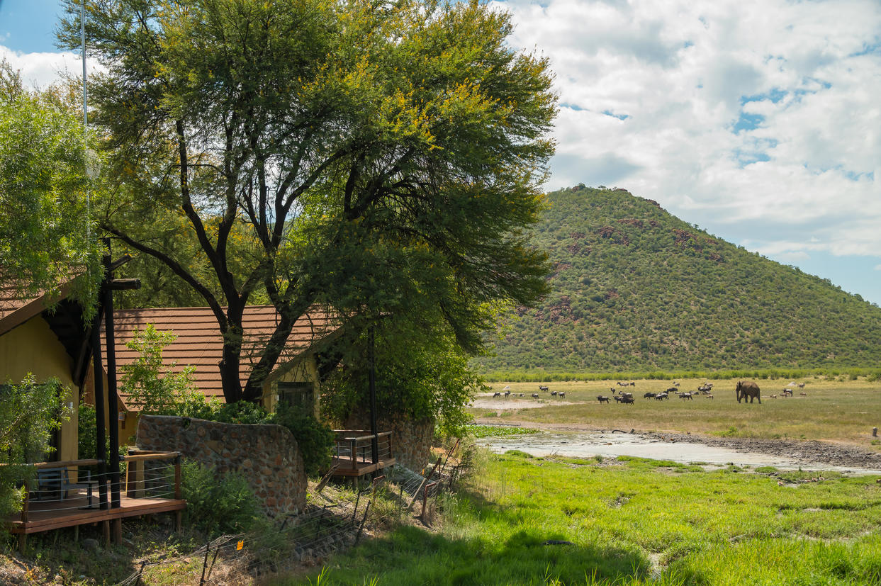Chalets and Water