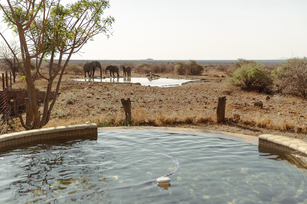 Pool view of the water hole - The Villa