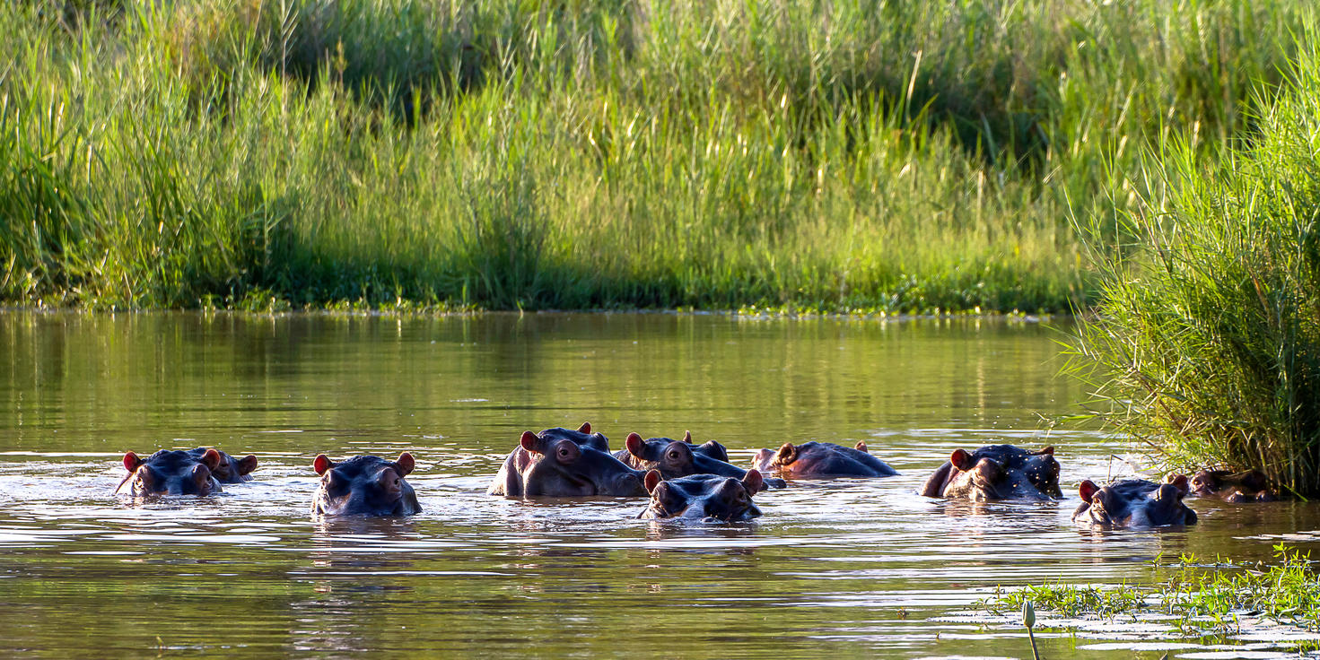 The Waterberg Biosphere