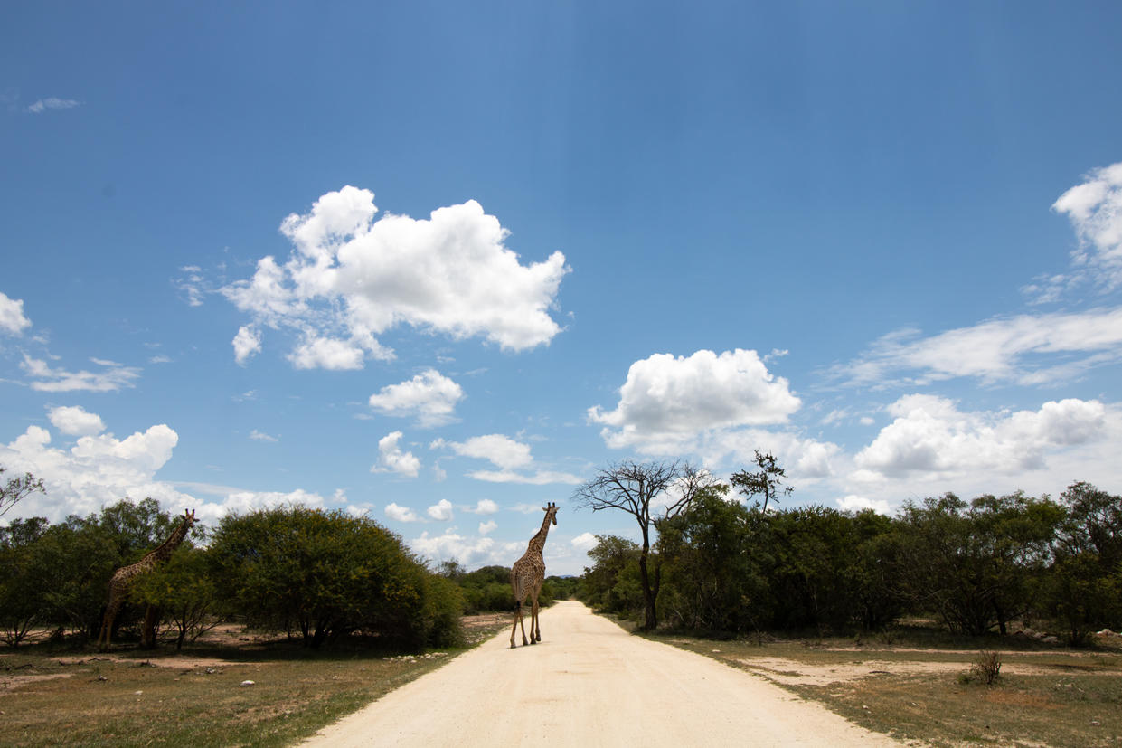 Game drives