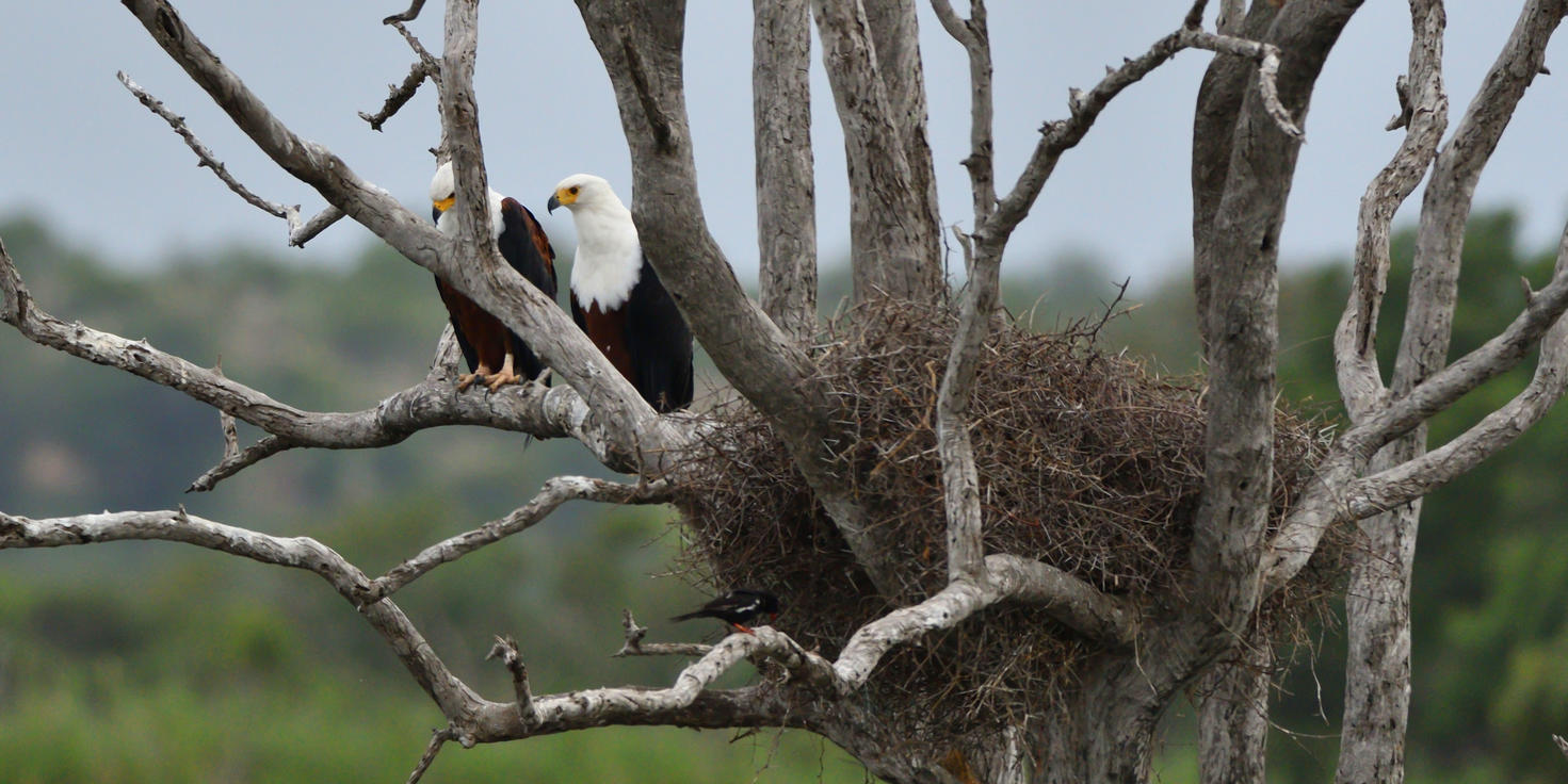 Mjejane Private Game Reserve