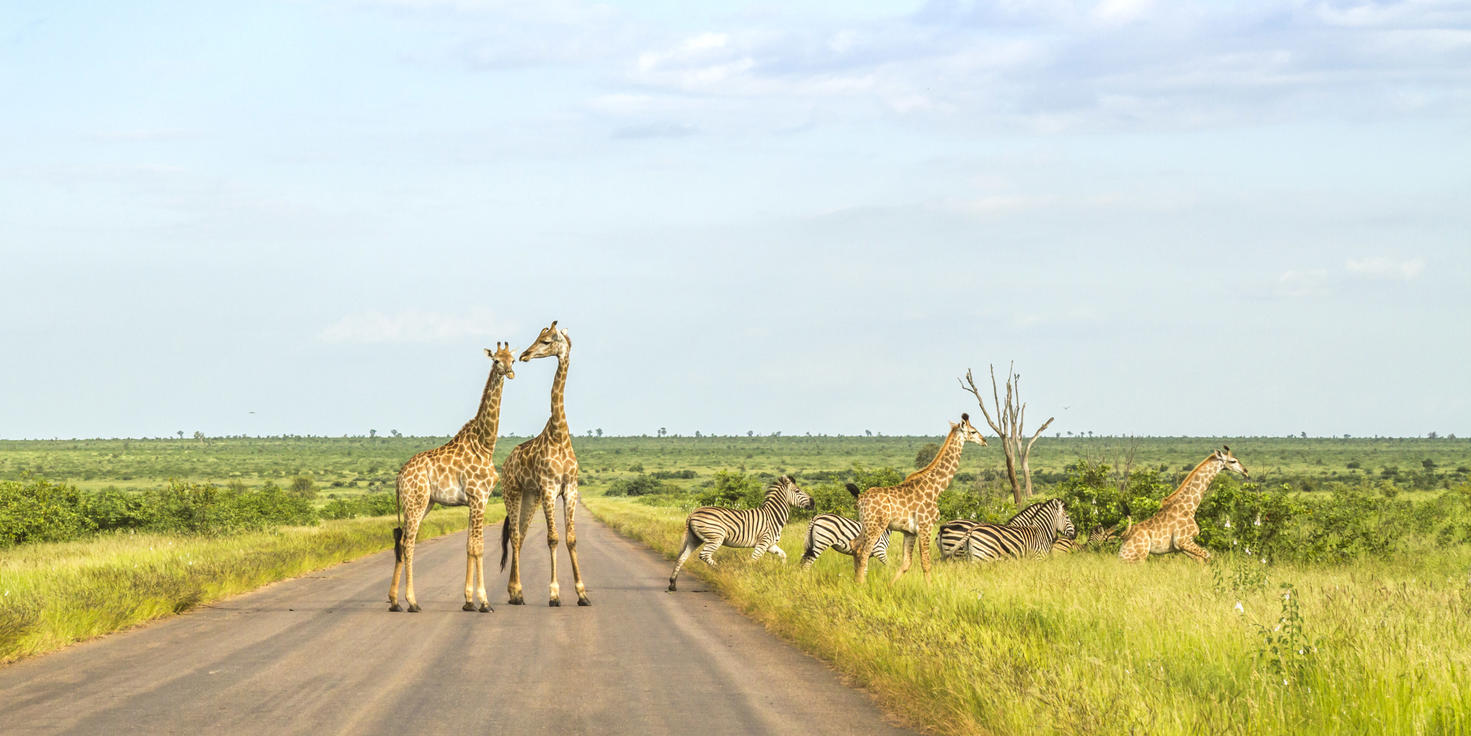 Mluwati Concession