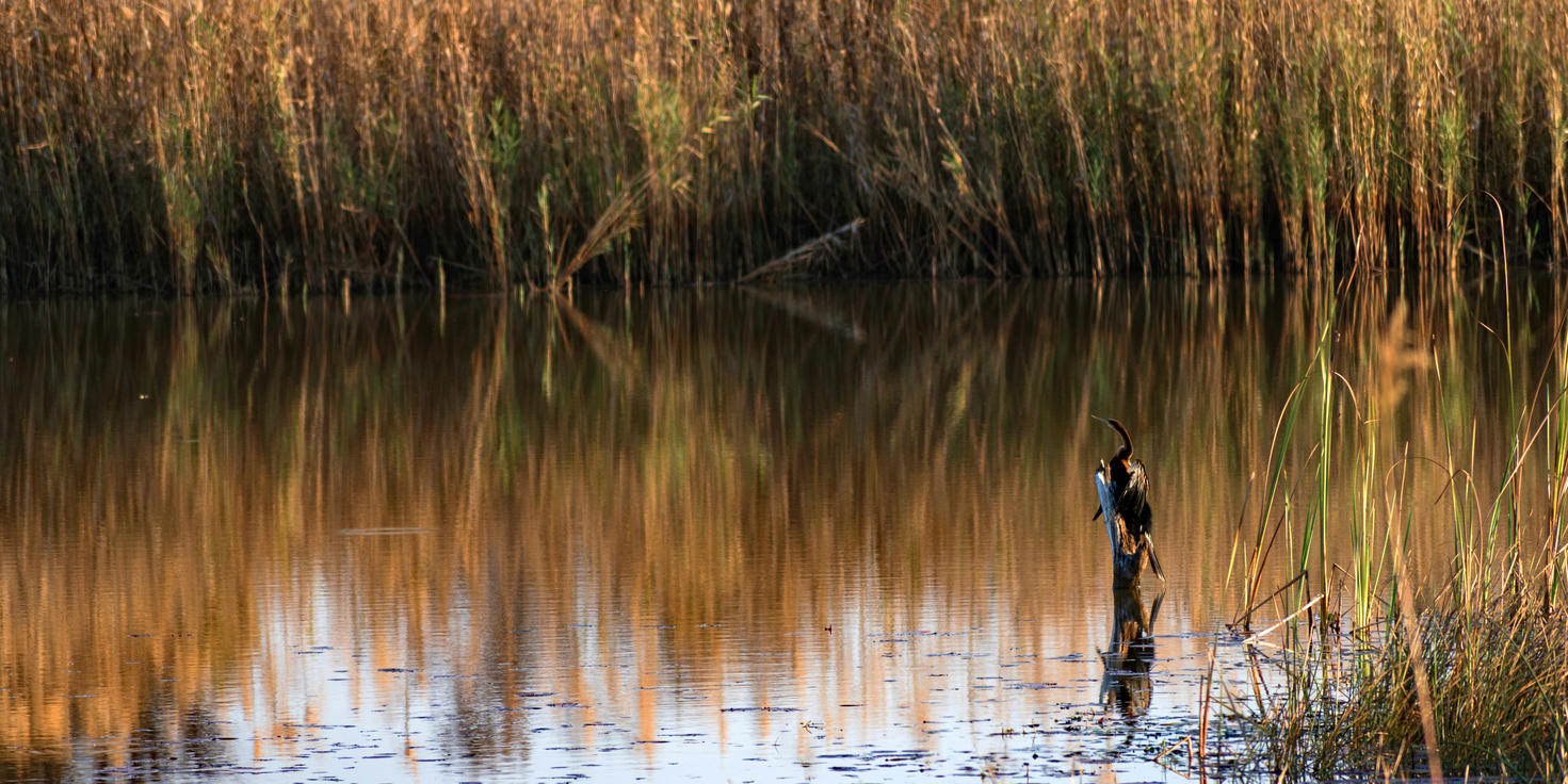 The Waterberg Biosphere