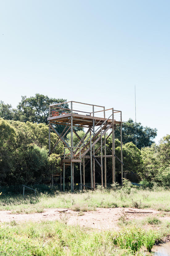 Moditlo River Lodge Lookout tower