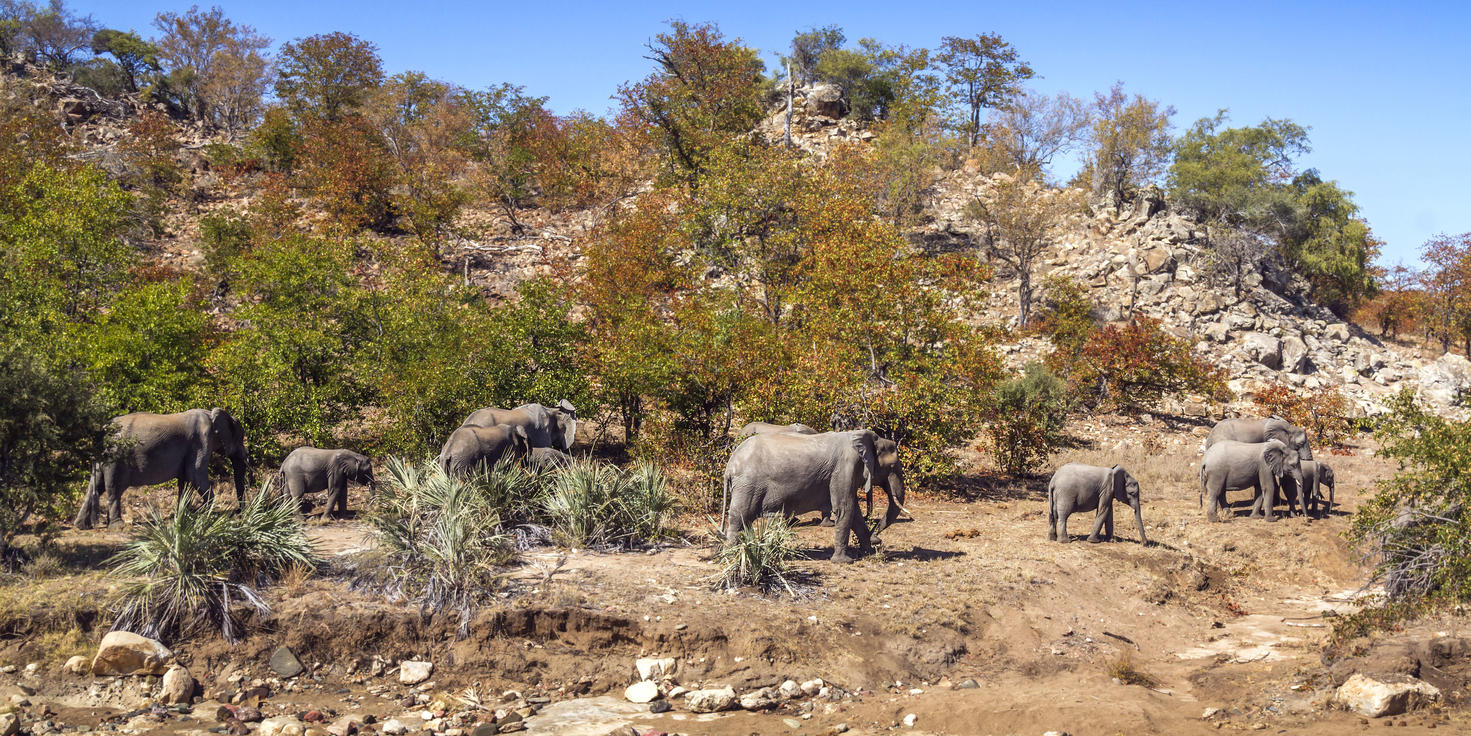 Moditlo Private Game Reserve
