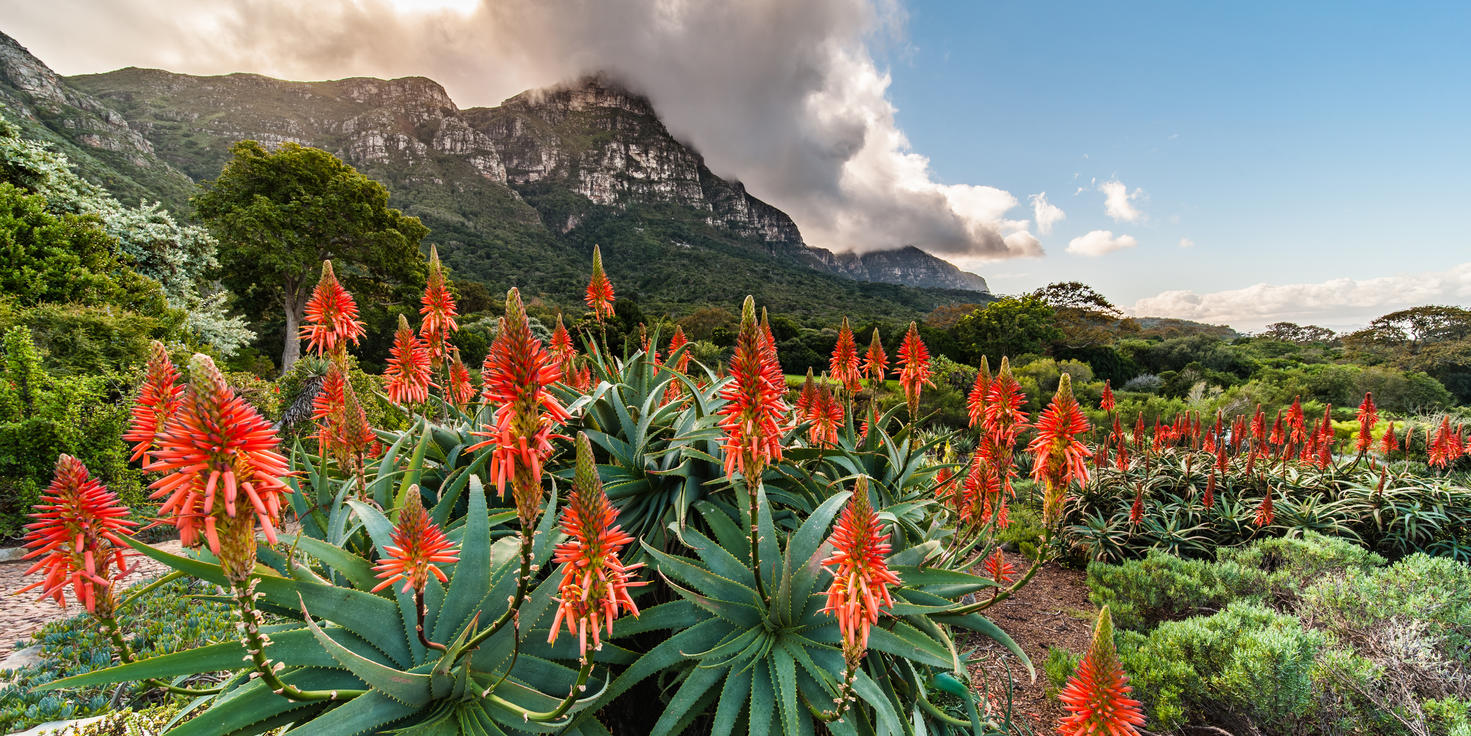 Cape Town