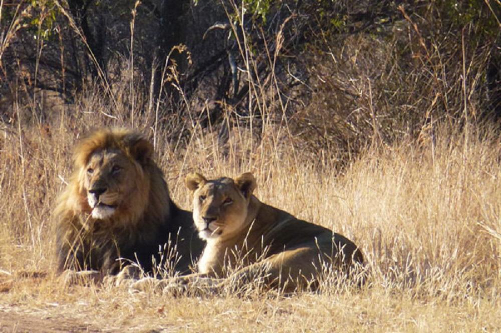 4 Night Clifftop Exclusive Safari Hideaway