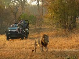 3 Night Umkumbe Safari Lodge KNP