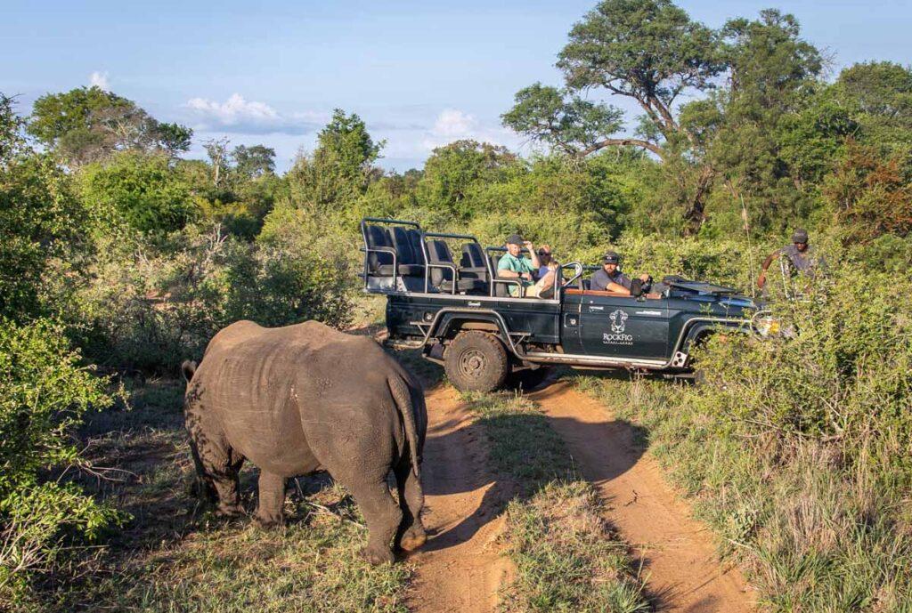 6 Day, 5 Night RockFig Safari Lodge