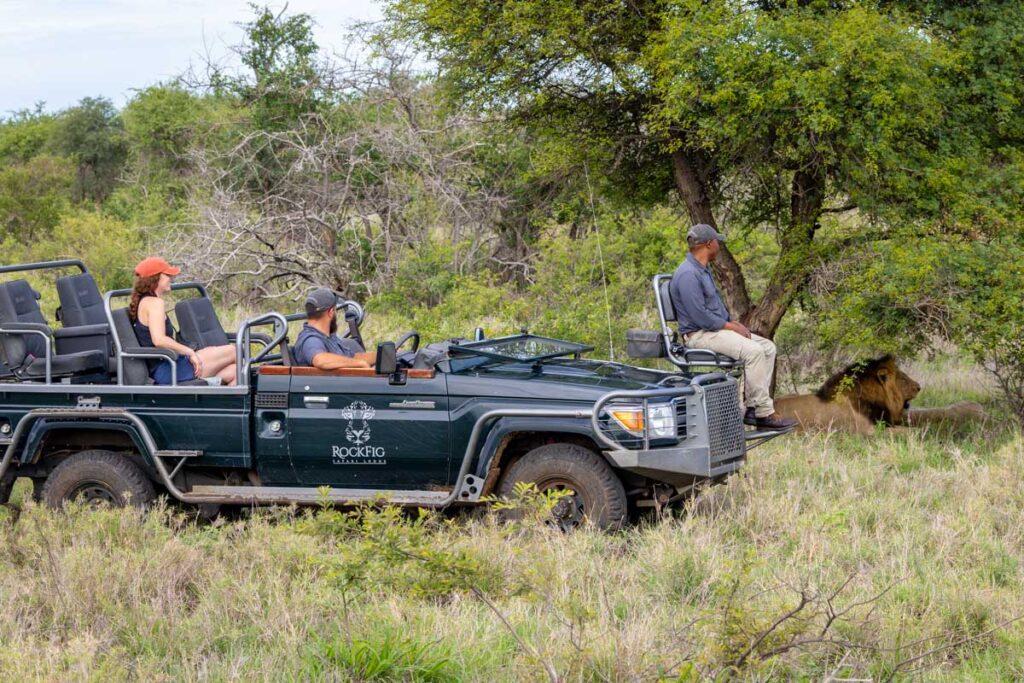6 Day, 5 Night RockFig Safari Lodge