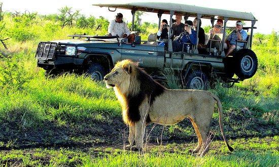3 Night Tau Game Lodge, Madikwe