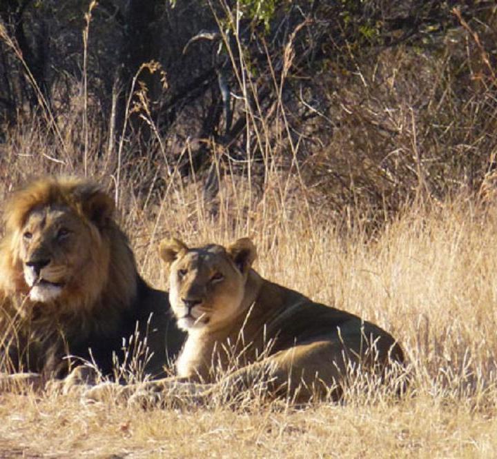 4 Night Clifftop Exclusive Safari Hideaway
