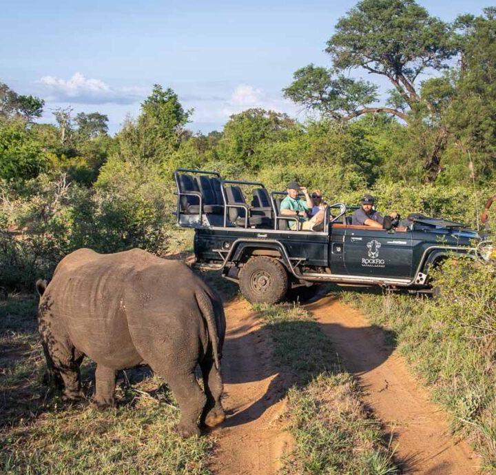6 Day, 5 Night RockFig Safari Lodge