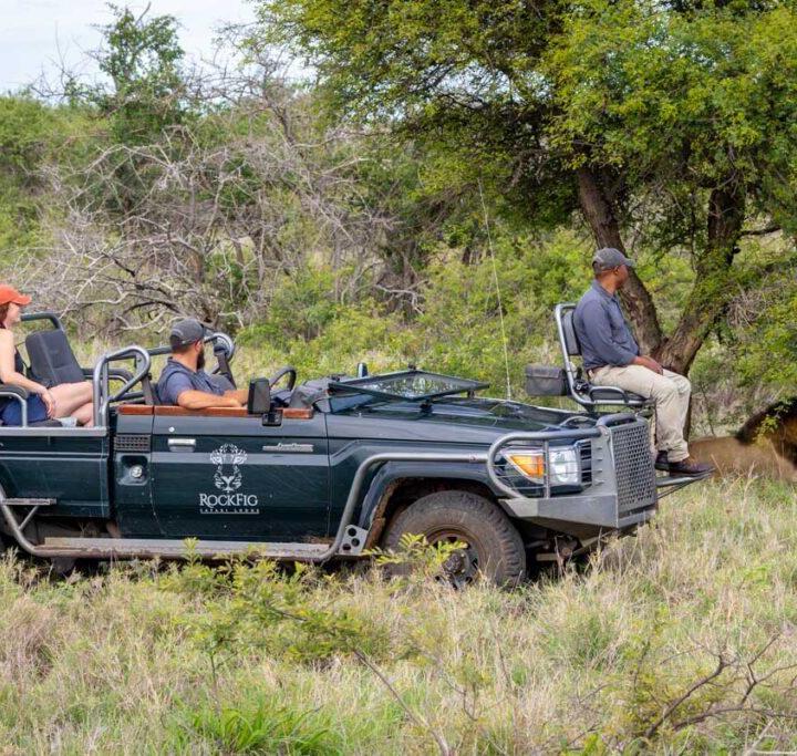 6 Day, 5 Night RockFig Safari Lodge